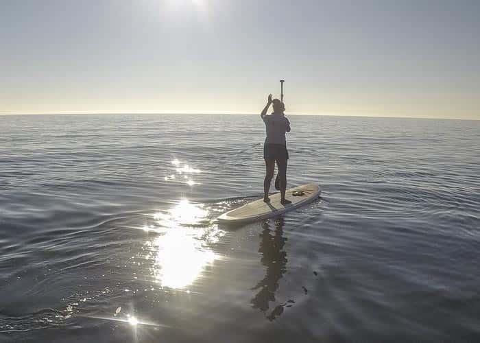 Paddle Boarding at Sunset - Ocean Monkeys Paddle Boards